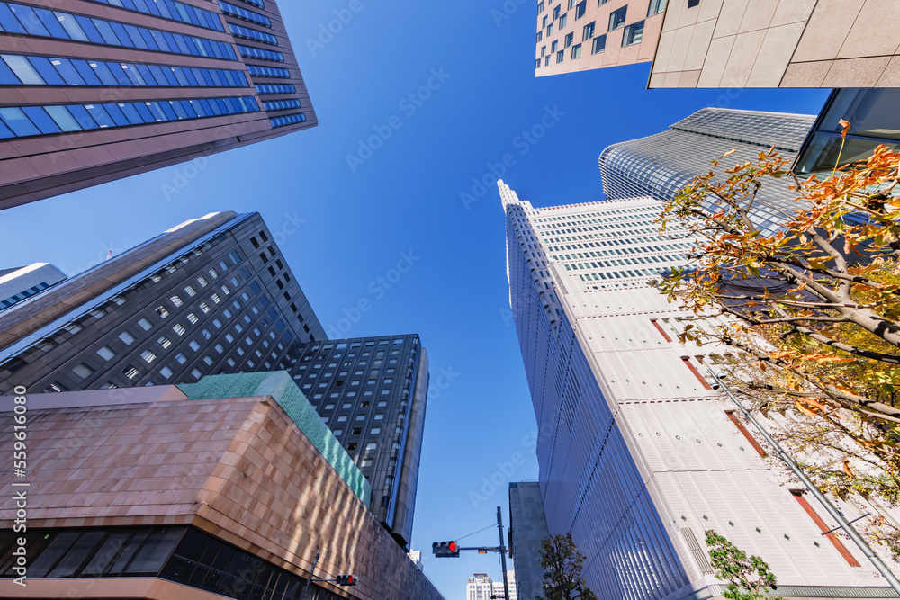 太陽の光が綺麗な東京のビル群