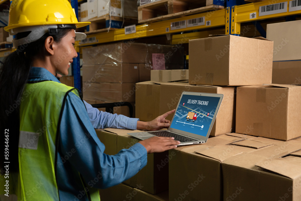 Delivery tracking system for e-commerce and modish online business to timely goods transportation an