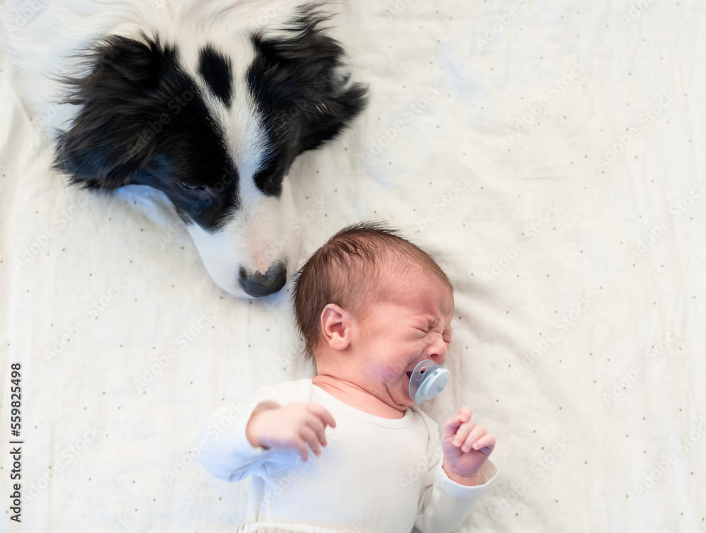 The dog is guarding the crying little baby on the bed