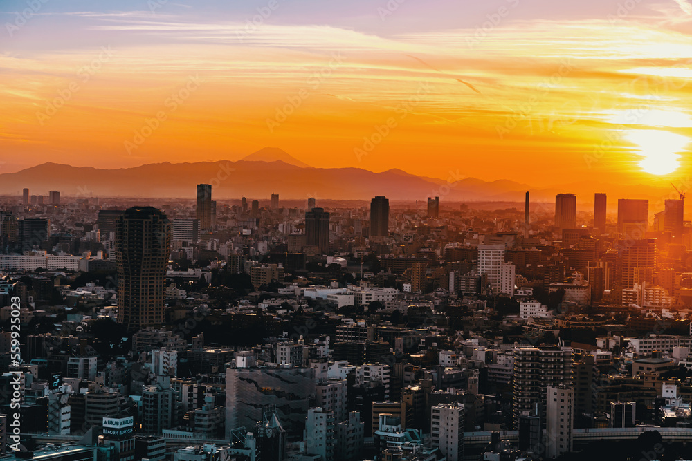 Aerial view of the skyline and cityscape at sunset in Minato, Tokyo, Japan