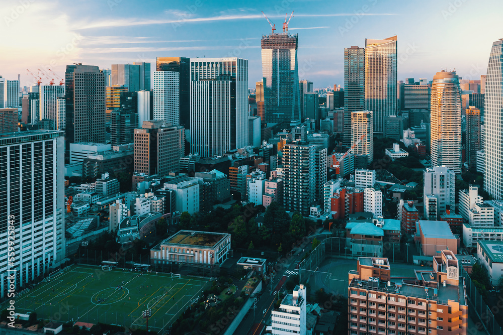 Aerial view of the skyline and cityscape at sunset in Minato, Tokyo, Japan