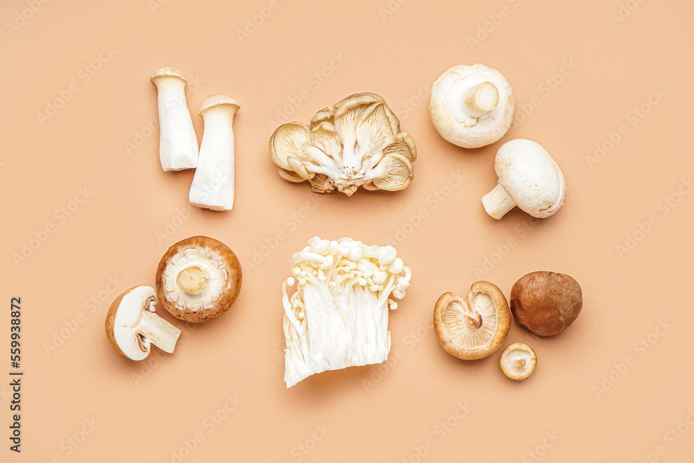 Composition with different fresh mushrooms on color background