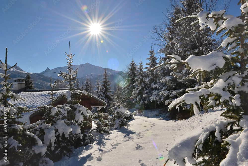 高山上阳光明媚的雪景，有冷杉树和小屋