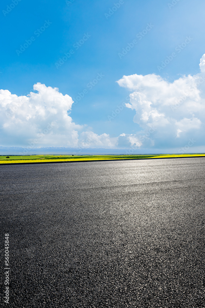 Asphalt road and green farmland with sky cloud background