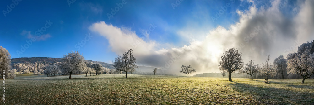 冬季景观全景，开阔草地上的白霜，蓝天上有引人注目的云朵和阳光