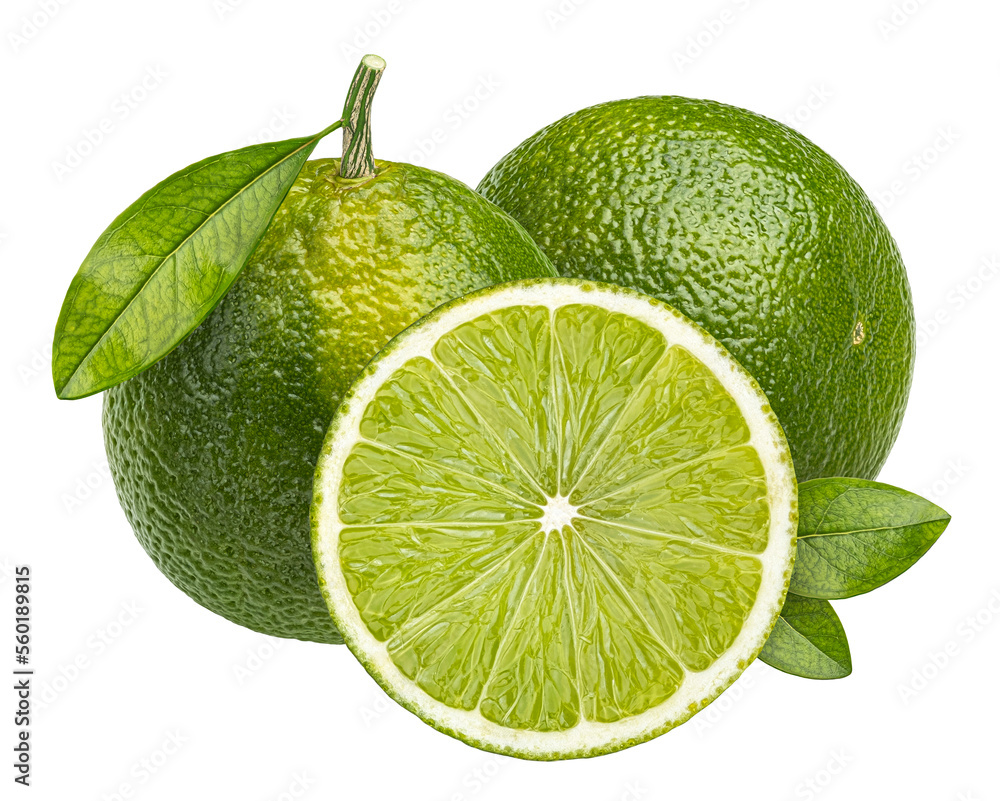 Lime citrus fruit isolated on white background