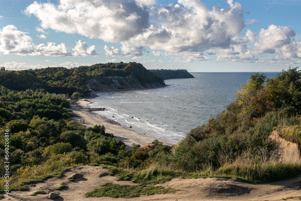 View of the Baltic Sea coast from a high cliff. Sandy beach and green forest are below. Steep cliffs