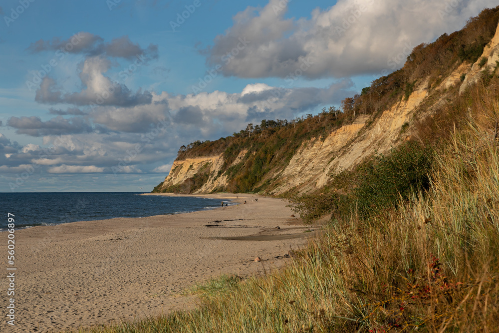 Landscape of the Baltic Sea coast in northern Europe. High steep cliff, sandy beach. Warm autumn day