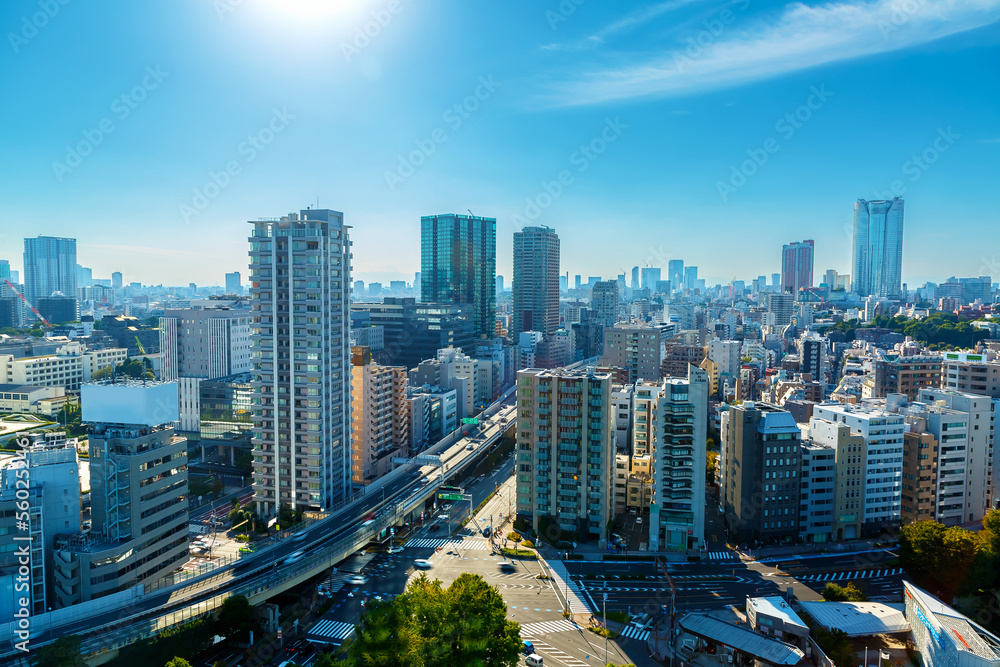 Skyscrapers and highways through Minato, Tokyo, Japan