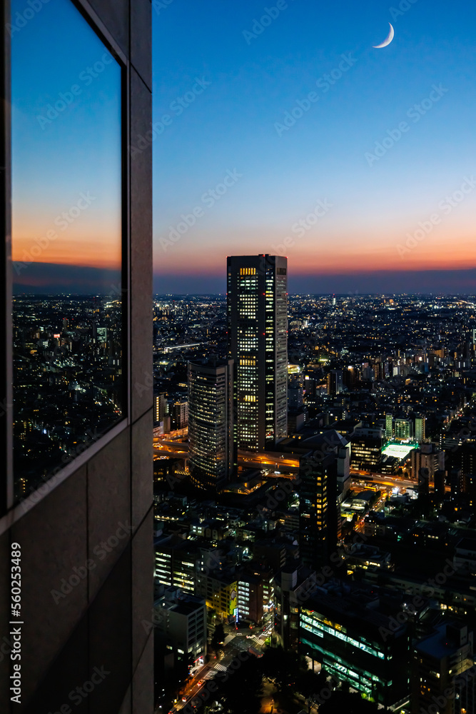 日落时分，摩天大楼耸立在日本东京西新宿的城市景观上