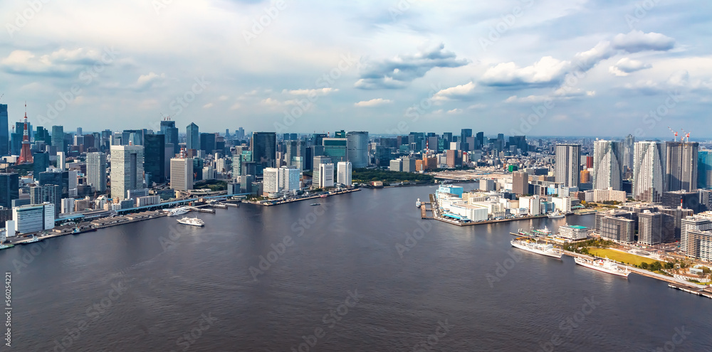 Aerial view of Odaiba Harbor in Minato City, Tokyo, Japan