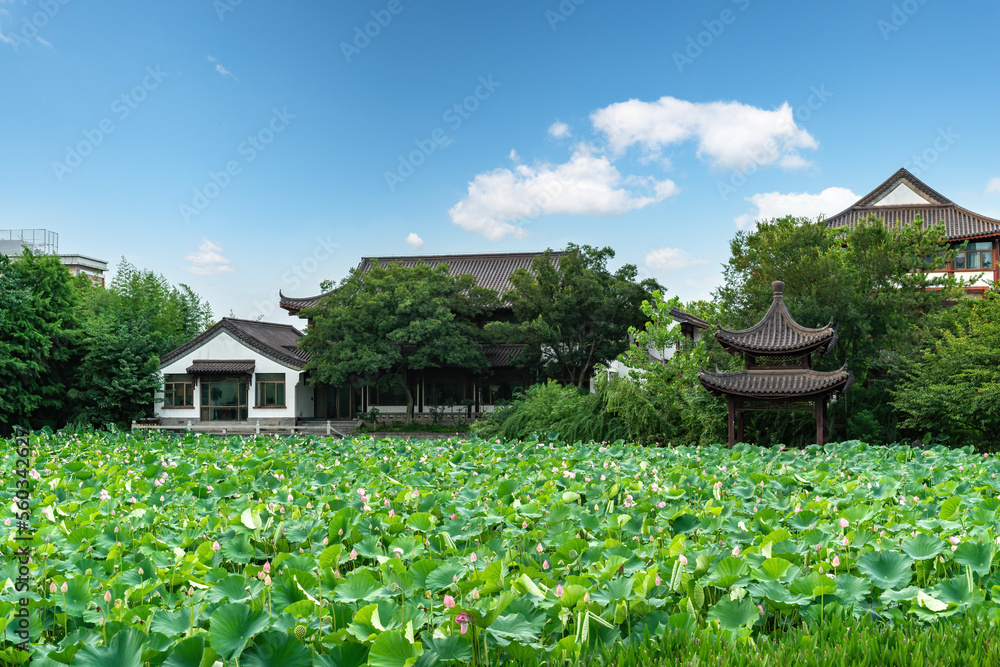 苏州古镇建筑景观