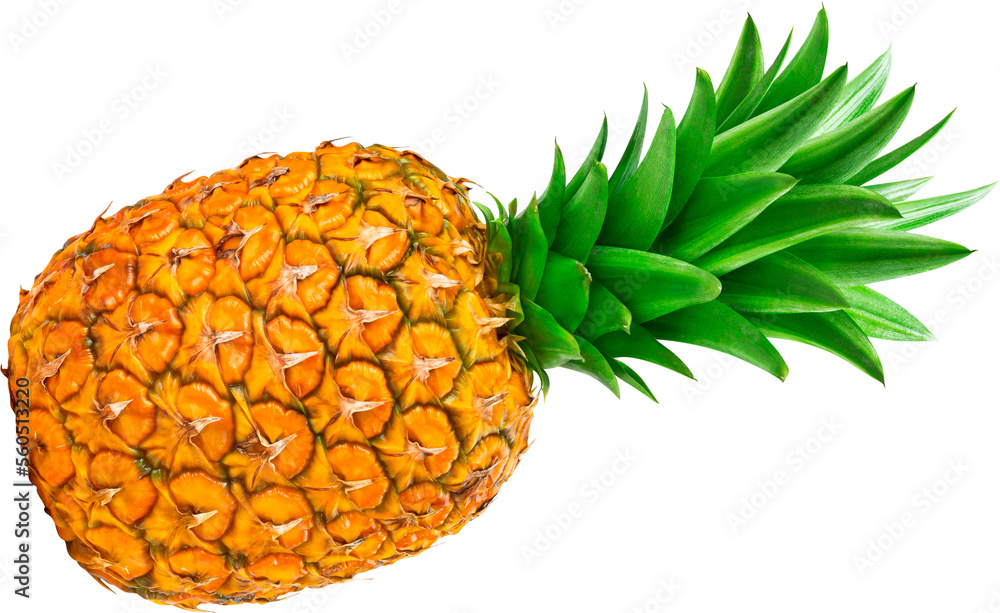 Pineapple with leaves isolated