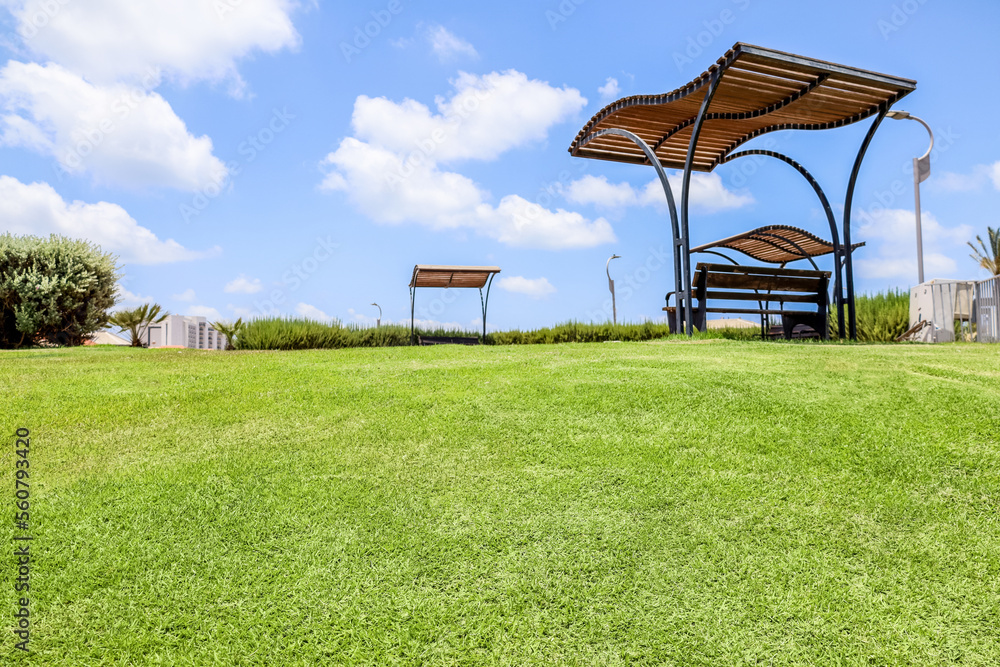 View of park with green grass and benches