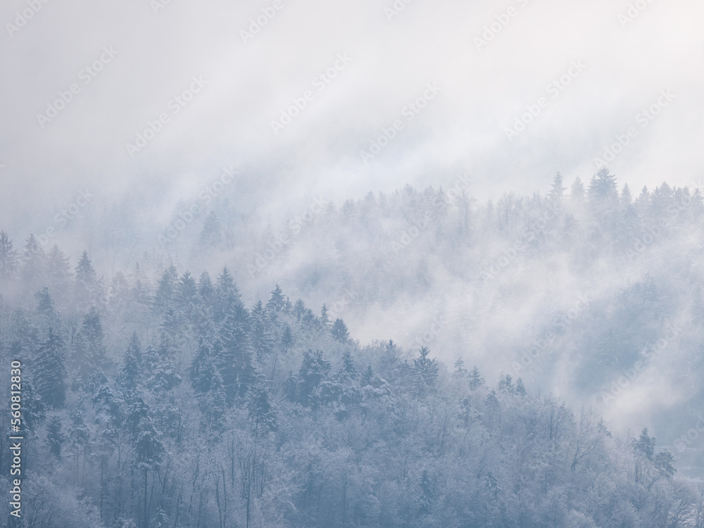 Misty remains of winter snowstorm clouds rolling over snow-covered treetops