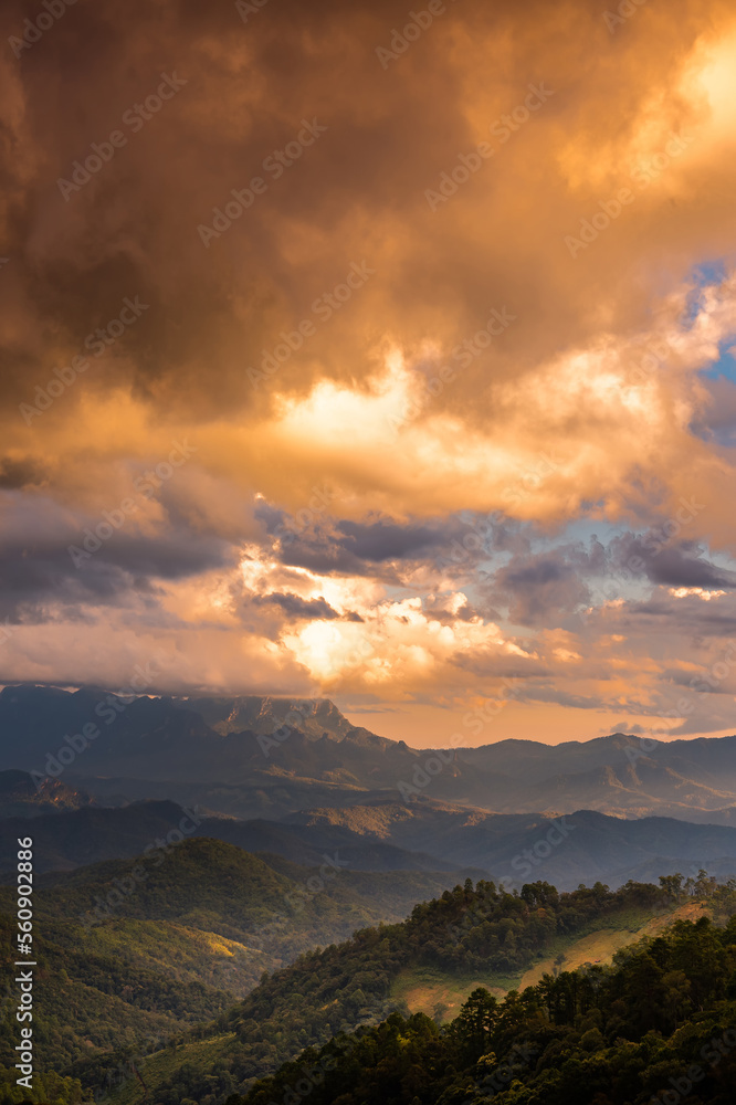 景观和天空背景