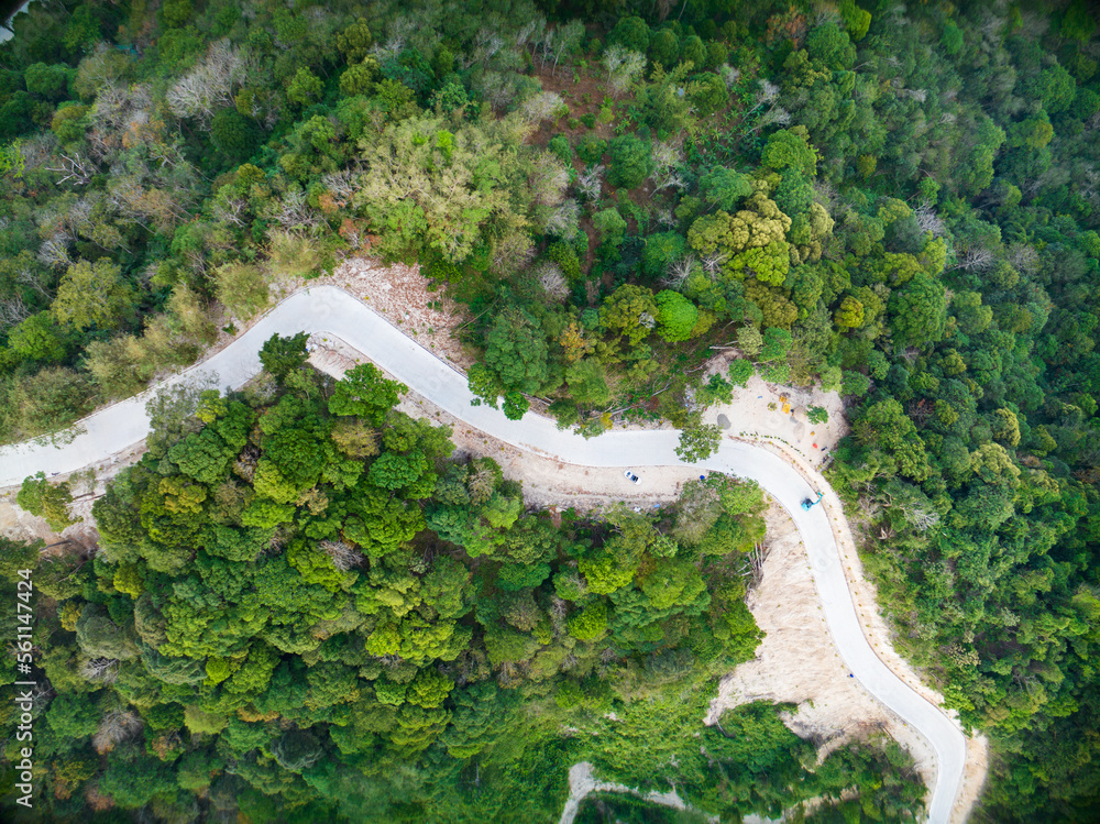 普吉岛树木雨林之间蜿蜒的山路上空拍摄的俯视无人机