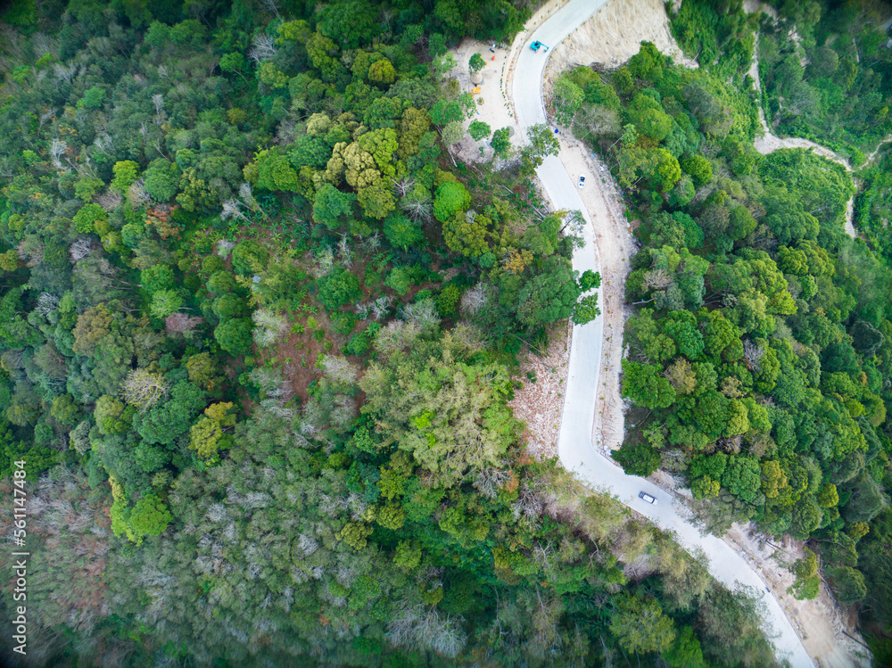 Aerial view top down drone shot above the winding mountain road between the trees rainforest,Phuket 