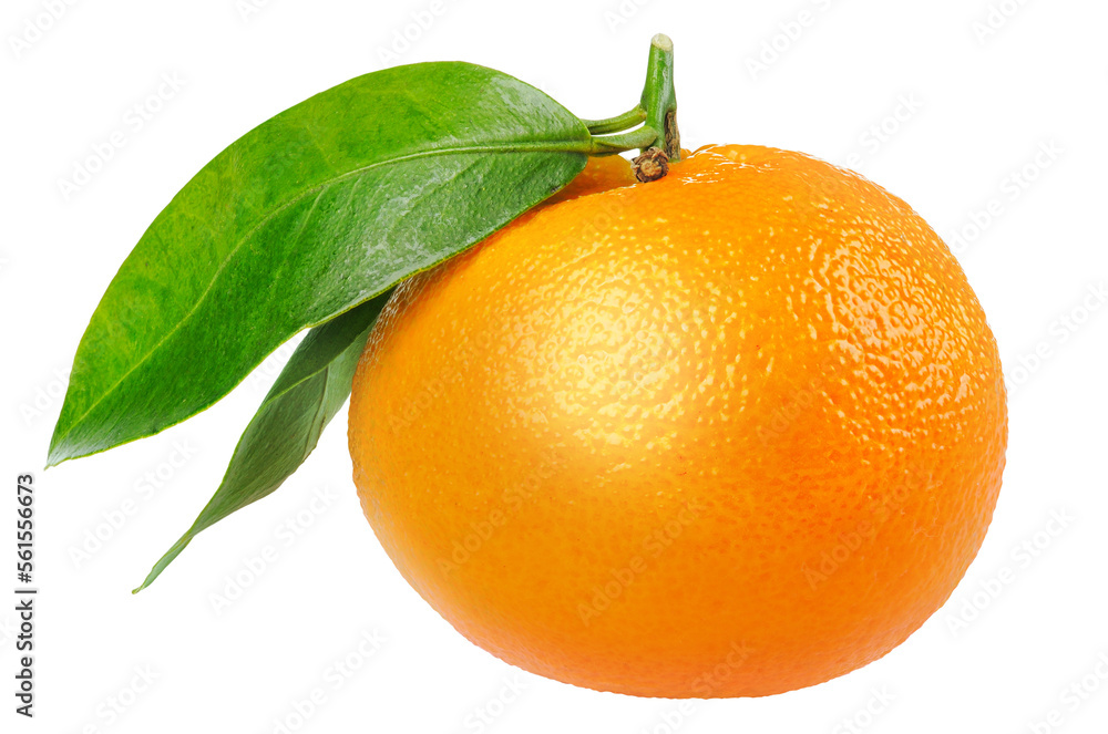 One tangerine with leaf cut out