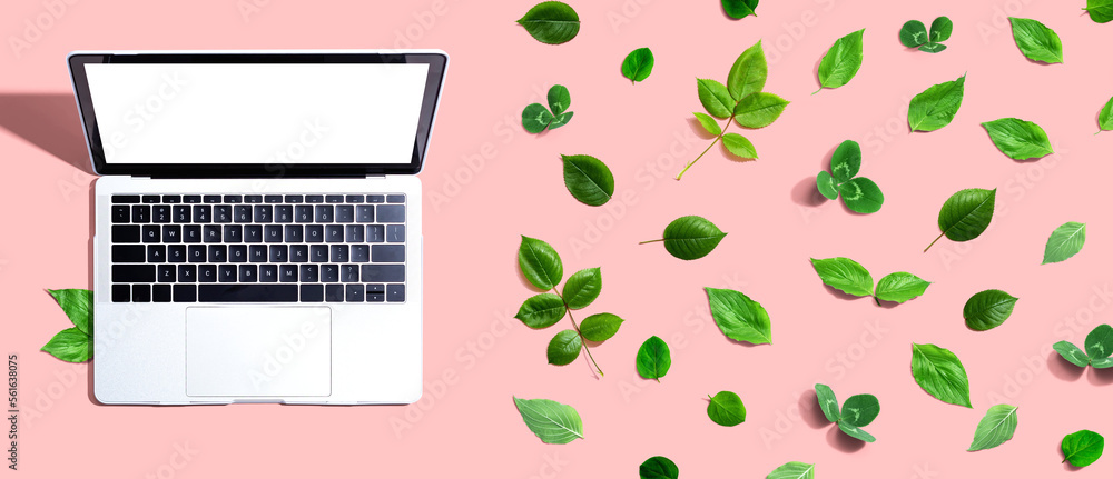 Laptop computer with green leaves - flat lay