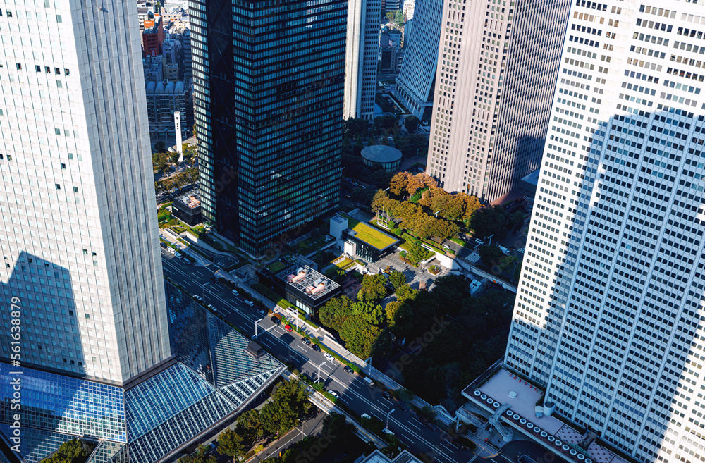 Skyscrapers towering above the cityscape of Nishi-Shinjuku, Tokyo, Japan