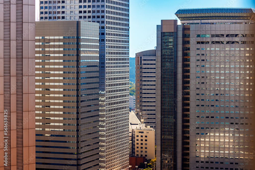 Skyscrapers above the cityscape of Nishi-Shinjuku, Tokyo, Japan