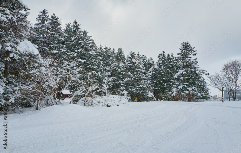 雪景美景