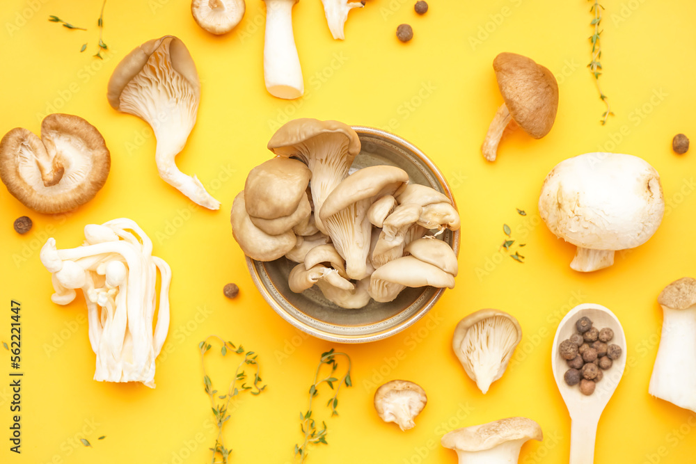 Composition with different mushrooms and spices on color background