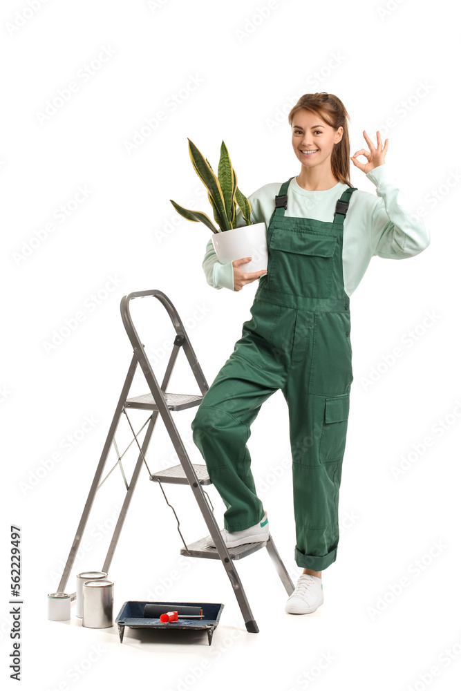 Young woman with houseplant, ladder and paint cans showing OK on white background