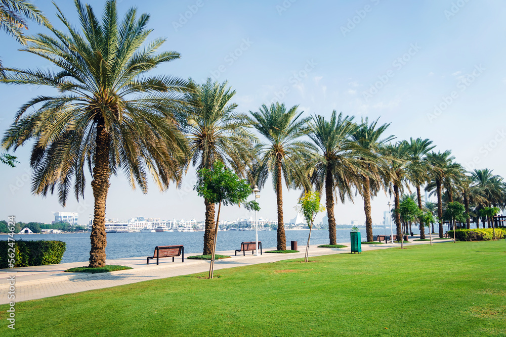 beautiful modern urban park with green lawn and palm trees on the seashore. Dubai United Arab Emirat