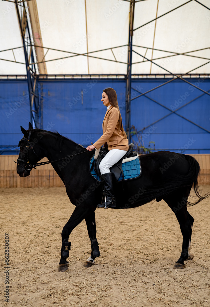 Active lifestyle countryside horse ride. Horse riding pretty lady at the farm.