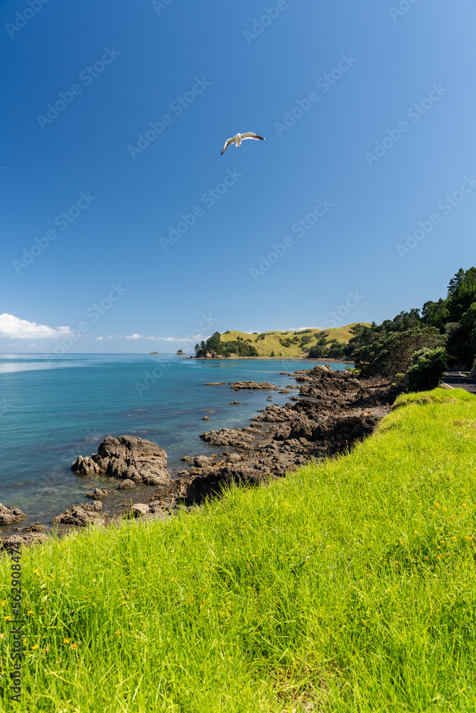 Thames coastal road along the Coromandel Peninsula =, New Zealand