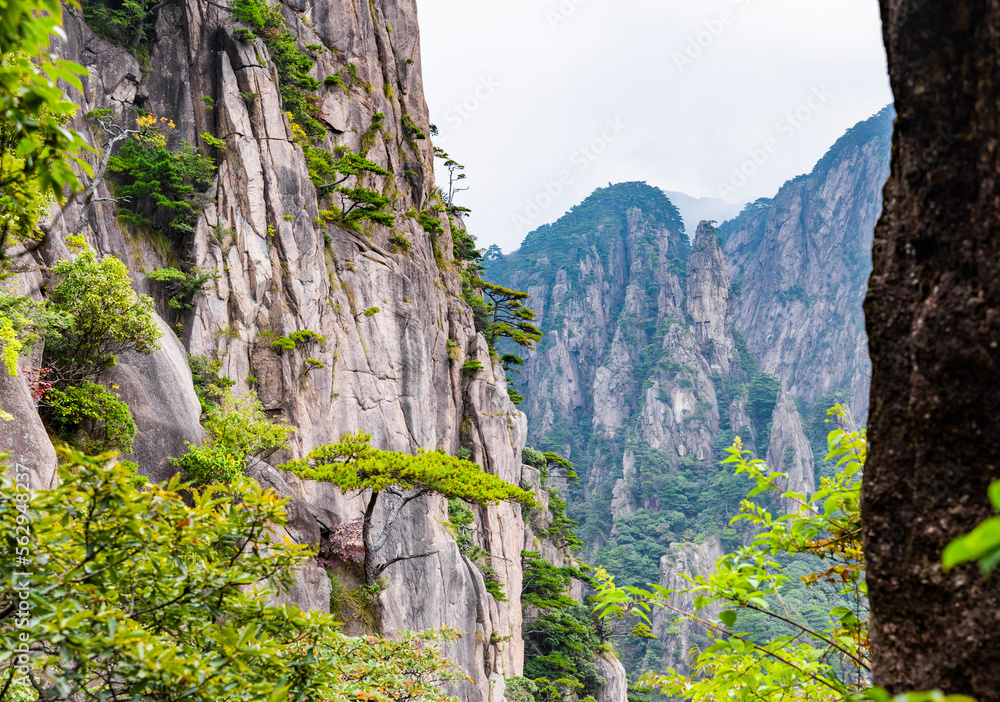 Natural scenery of Huangshan Scenic Area in Anhui Province