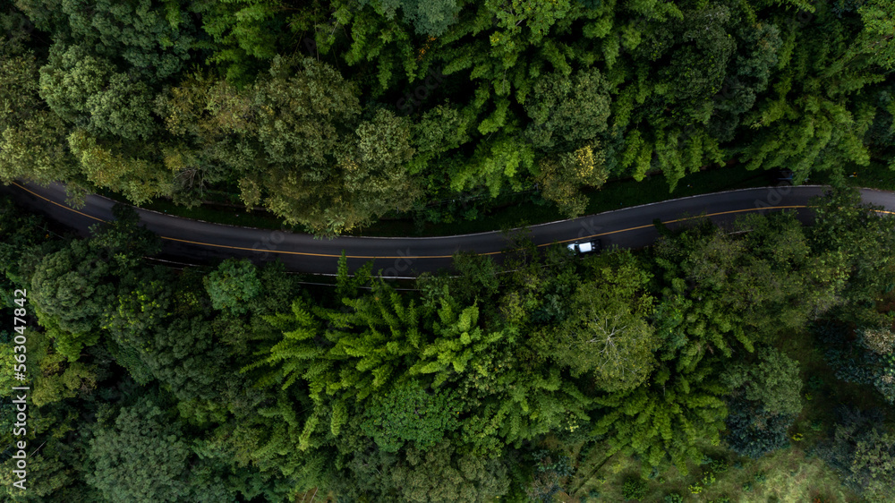 绿色森林的山口沥青公路鸟瞰图，穿过峡谷的乡村公路