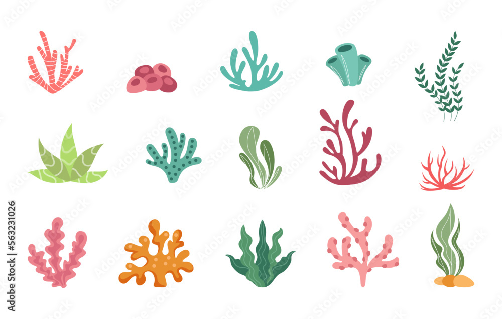 Ocean coral reef, cartoon underwater plants set. Simple summer diving, floral sea stickers, tropical