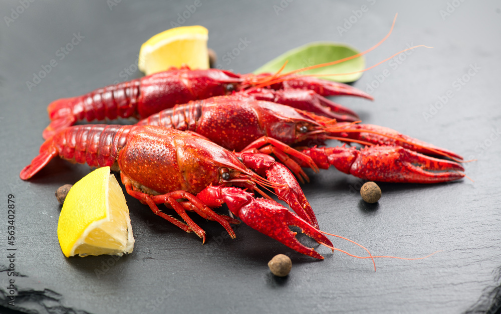 Crayfish, Crawfish closeup. Red boiled crayfish with herbs and lemon on stone slate dark background.