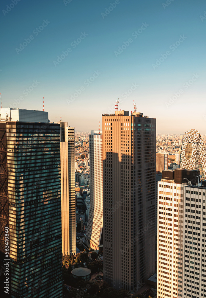 Skyscrapers in Shinjuku, Tokyo, Japan