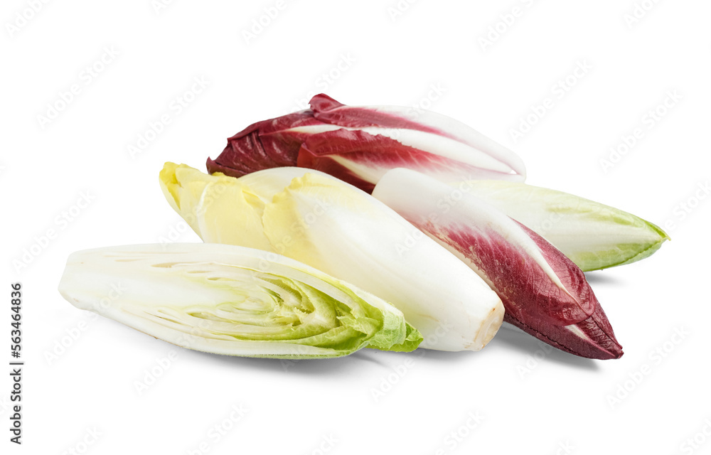 Fresh ripe endive isolated on white background