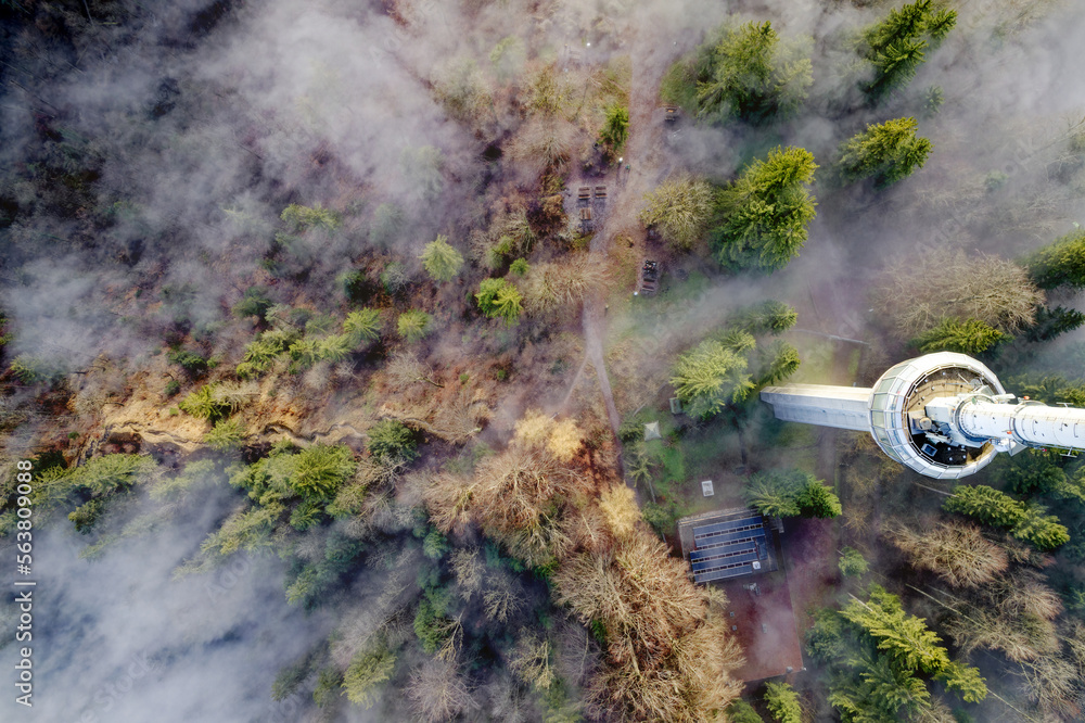 Top view of foggy wood at local mountain Uetliberg, Canton Zürich, with communications tower at Chri