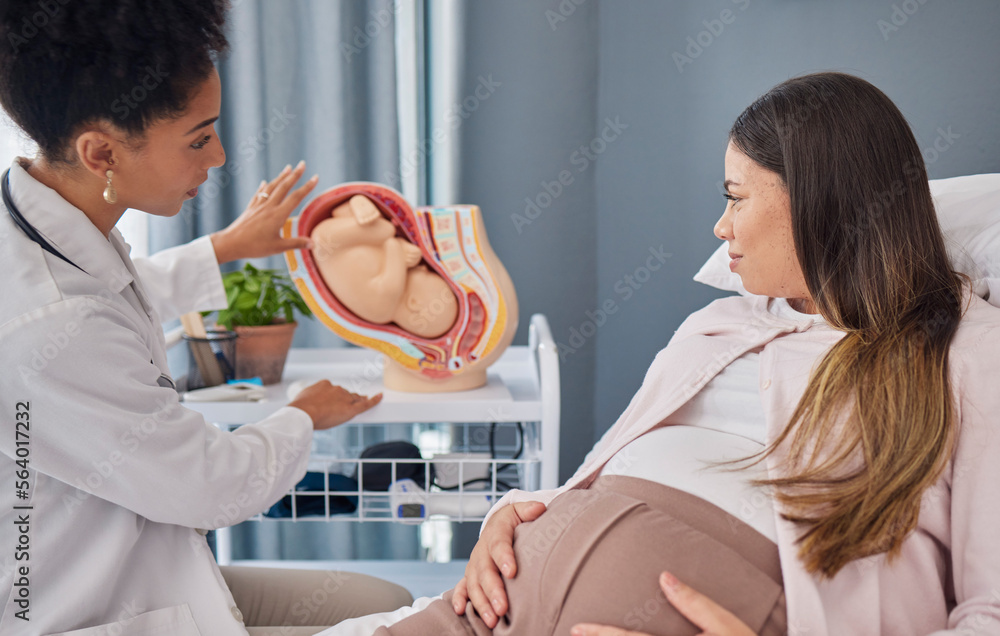 Pregnant, woman and doctor explanation with fetus in clinic for medical expertise and progress asses