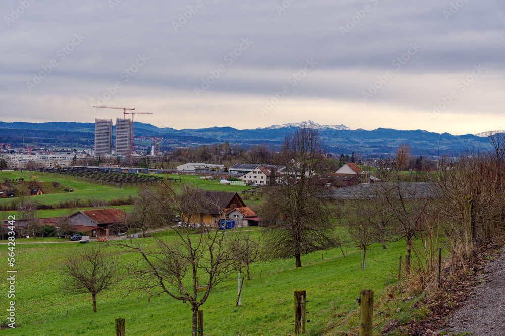 Orchard with apple trees, meadow and forest in the background at Swiss City of Zürich district Schwa