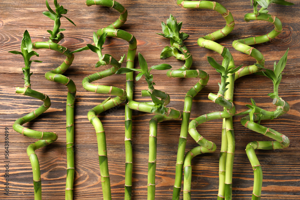 Bamboo stems on wooden background, closeup