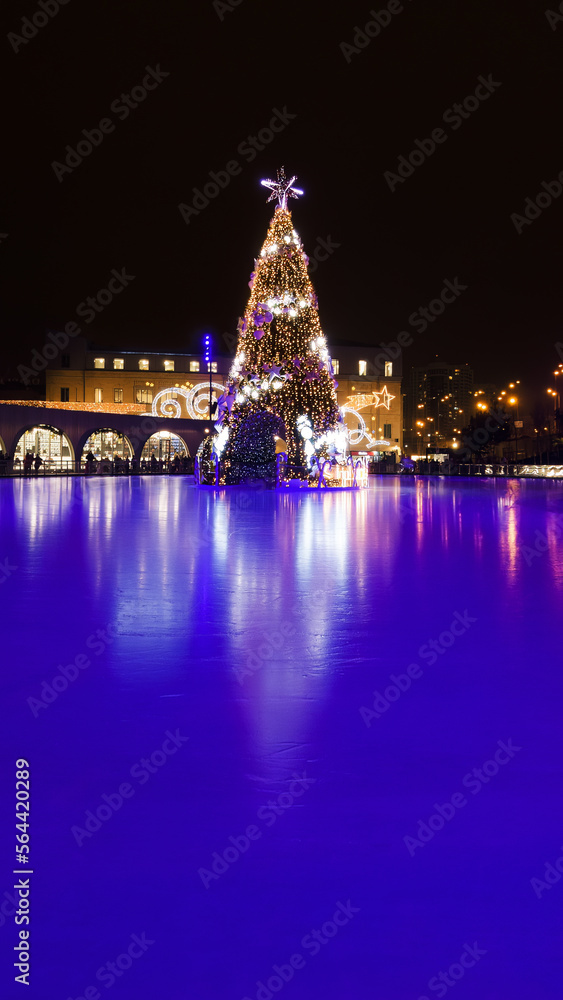 A Christmas tree in the middle of the ice rink on a winter evening.