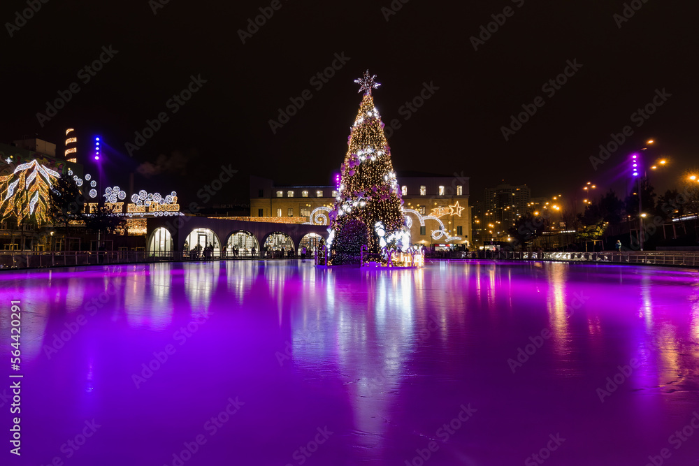 A Christmas tree in the middle of the ice rink on a winter evening.