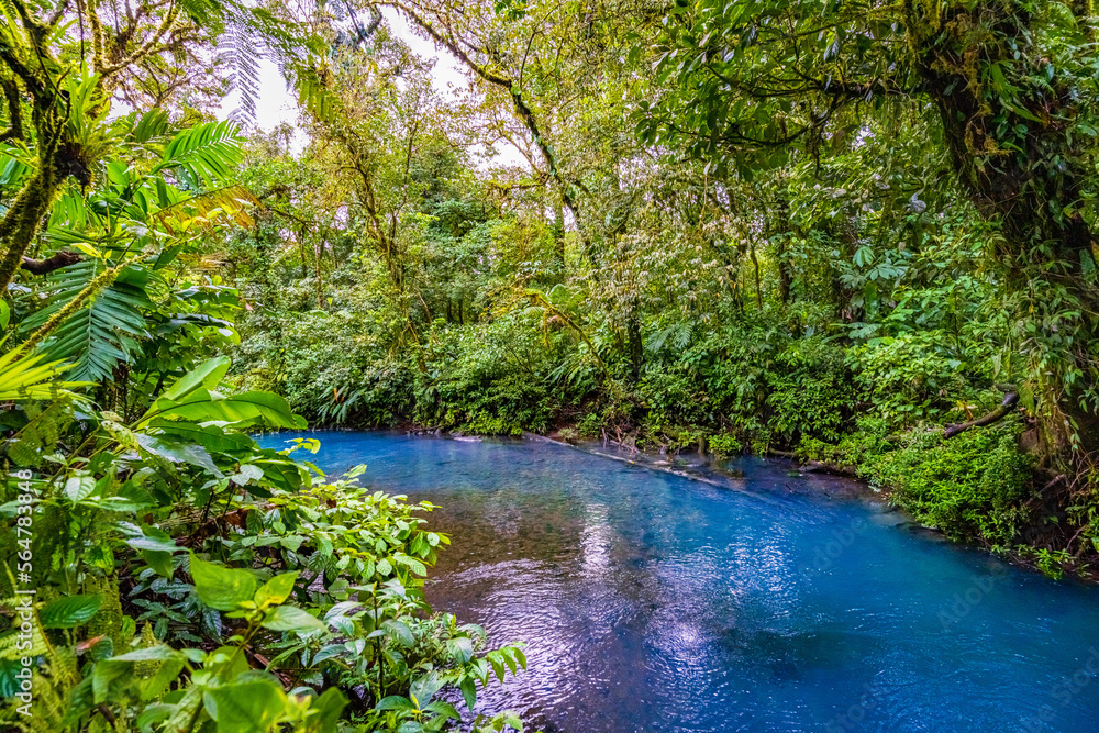 Water at the junction of Rio Buenavista and Quebrada Agriawhere its tributaries come together and th