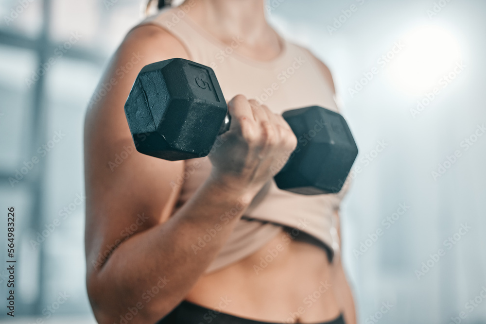 Gym, dumbbell exercise and woman hands doing muscle fitness performance for body health, strength tr