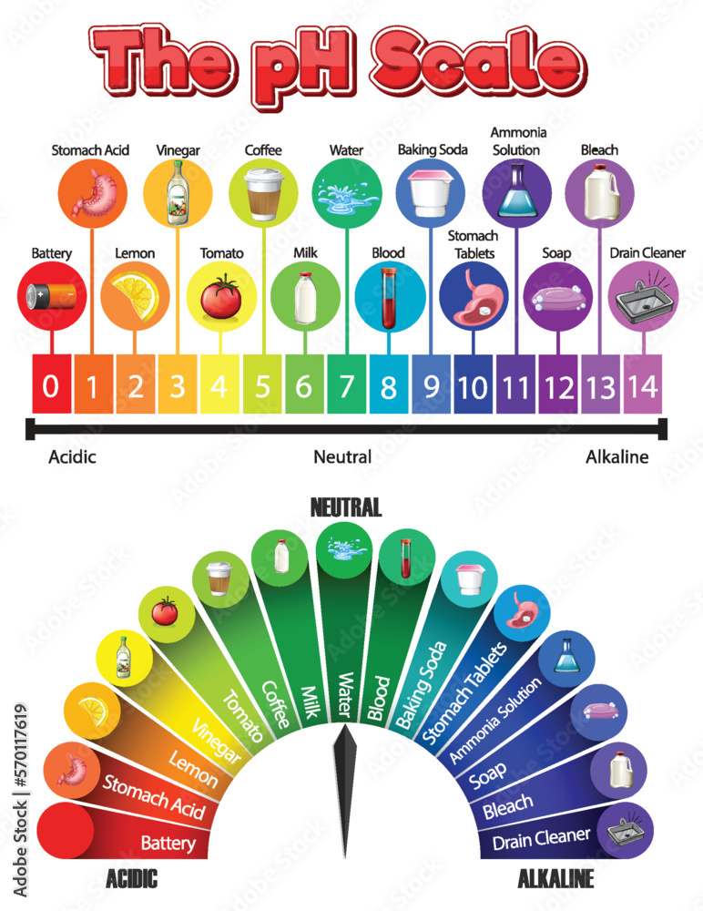 The pH scale of common chemicals