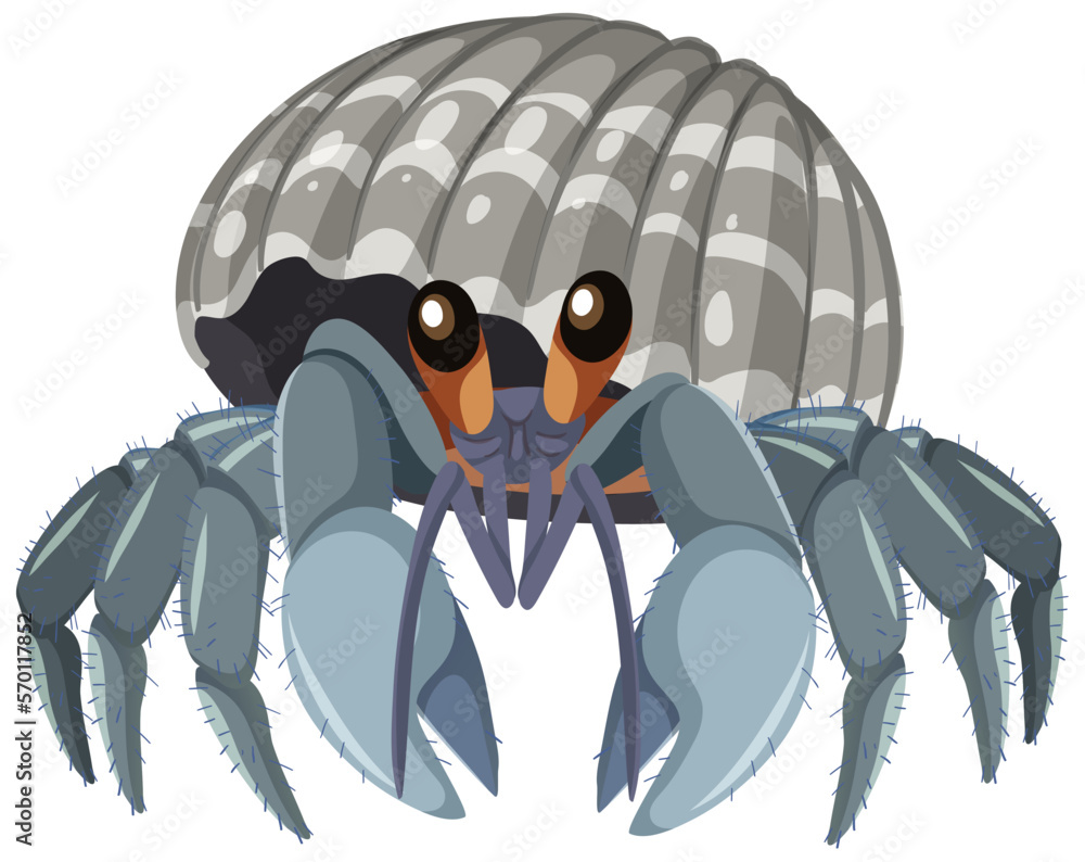 Isolated hermit crab cartoon