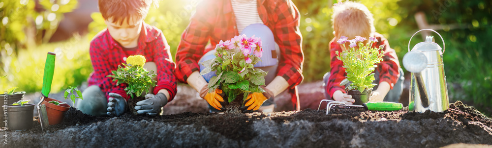 Mother with children planting sprouts in the cultivated soil.