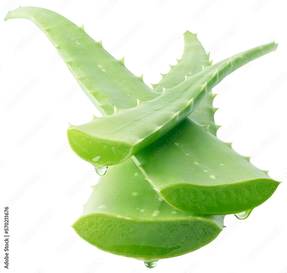 Aloe vera dripping 